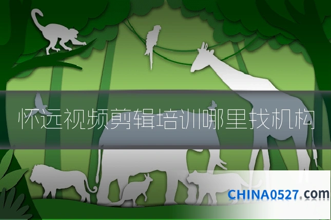 怀远视频剪辑培训哪里找机构