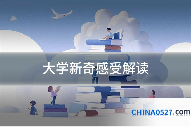 大学新奇感受解读