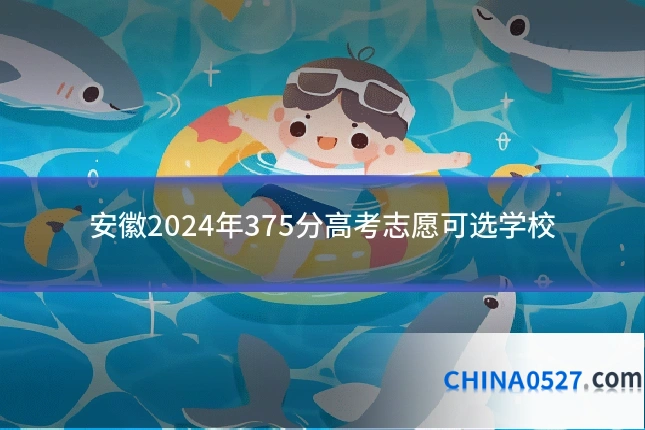安徽2024年375分高考志愿可选学校