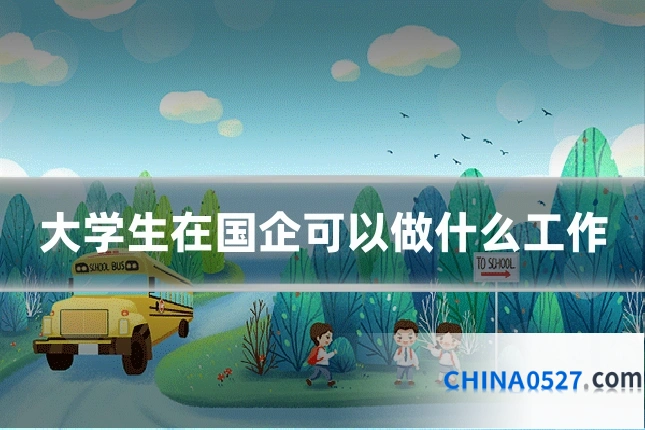 大学生在国企可以做什么工作