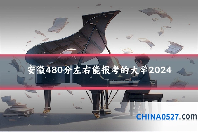 安徽480分左右能报考的大学2024