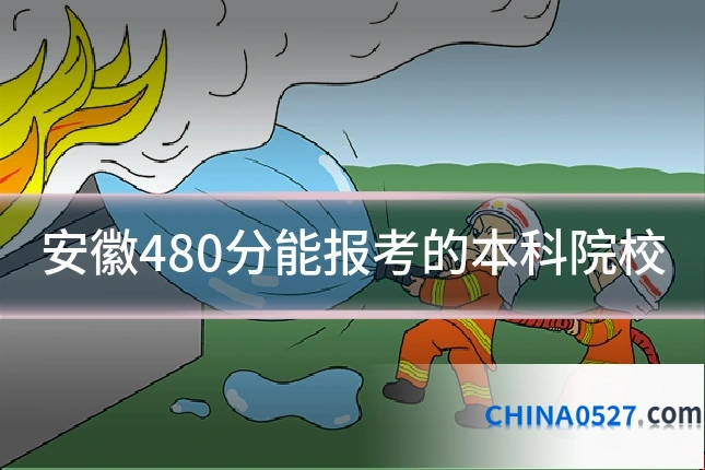 安徽480分能报考的本科院校