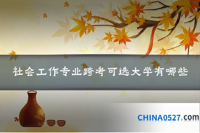 社会工作专业跨考可选大学有哪些