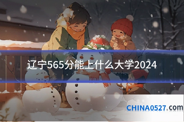 辽宁565分能上什么大学2024