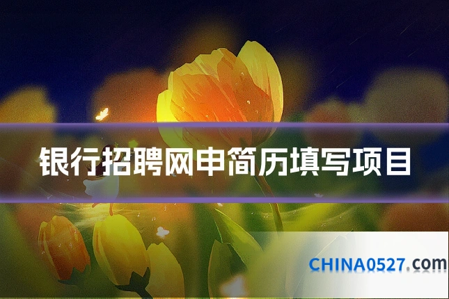 银行招聘网申简历填写项目