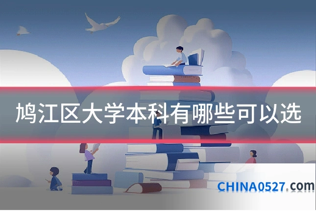 鸠江区大学本科有哪些可以选
