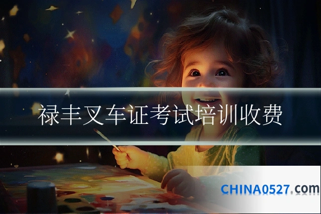 禄丰叉车证考试培训收费