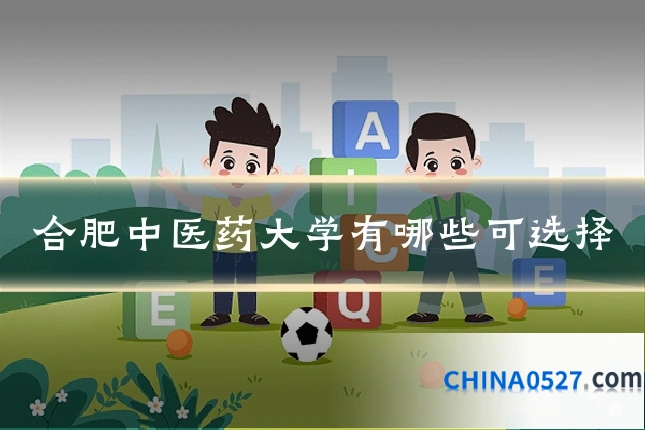 合肥中医药大学有哪些可选择