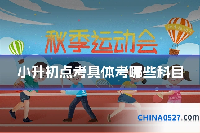 小升初点考具体考哪些科目