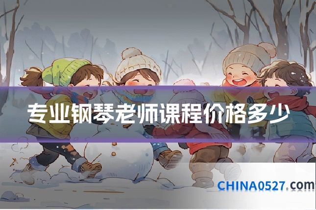 专业钢琴老师课程价格多少