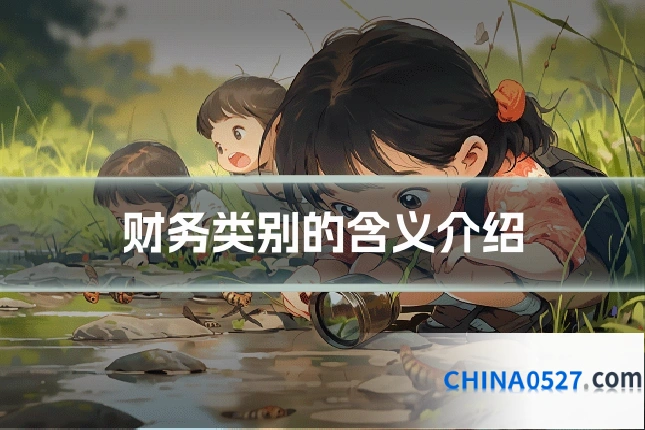 财务类别的含义介绍