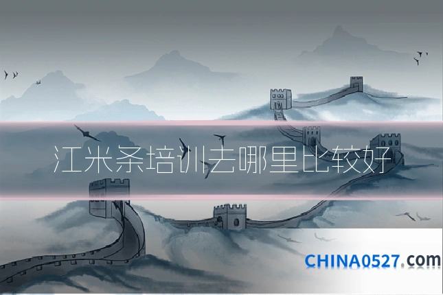 江米条培训去哪里比较好
