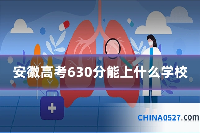 安徽高考630分能上什么学校