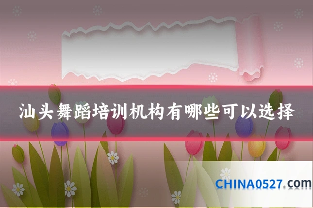 汕头舞蹈培训机构有哪些可以选择