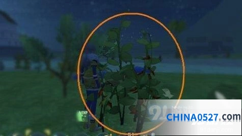 创造与魔法辣椒刷新位置全解 晨雾森林也有