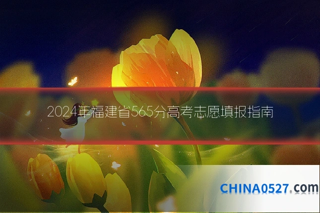 2024年福建省565分高考志愿填报指南