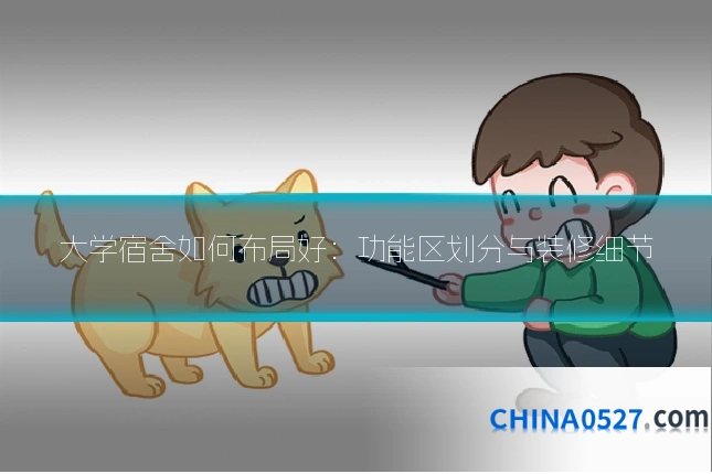 大学宿舍如何布局好:功能区划分与装修细节