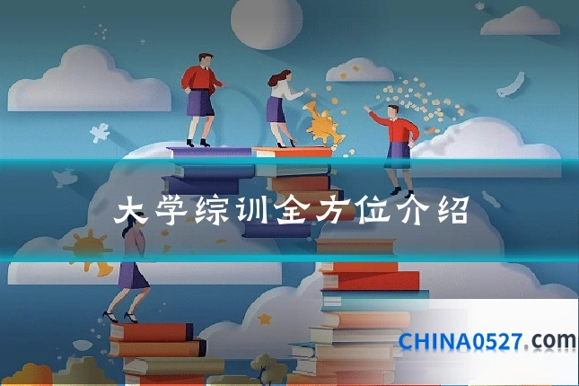 大学综训全方位介绍