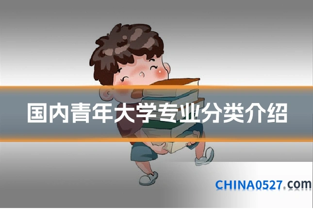 国内青年大学专业分类介绍