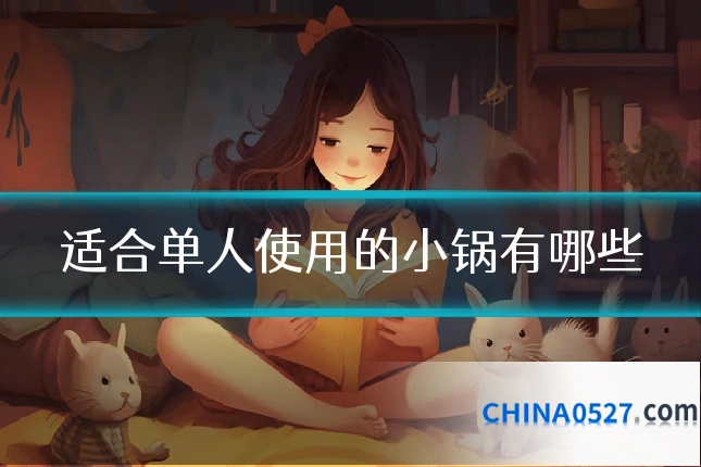 适合单人使用的小锅有哪些