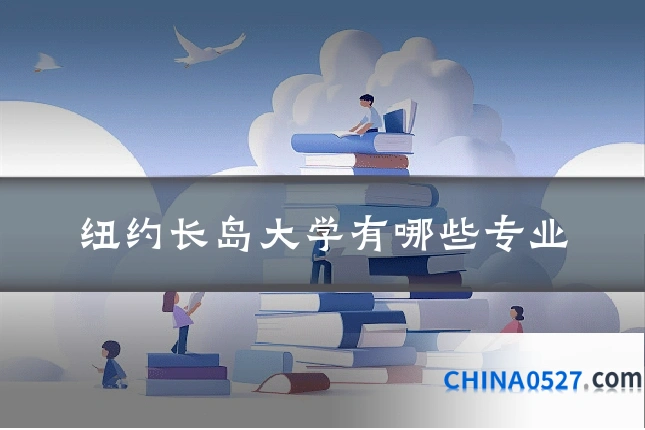 纽约长岛大学有哪些专业