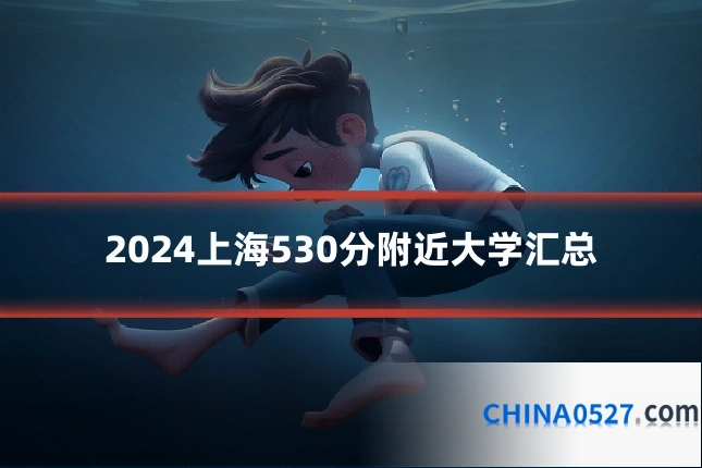 2024上海530分附近大学汇总