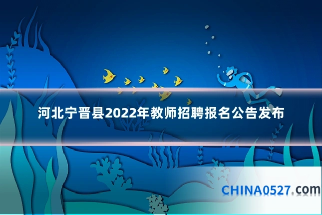 河北宁晋县2022年教师招聘报名公告发布