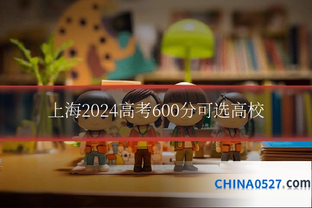 上海2024高考600分可选高校