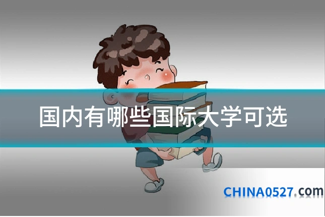 国内有哪些国际大学可选