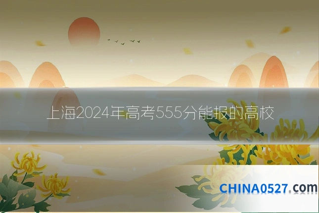 上海2024年高考555分能报的高校