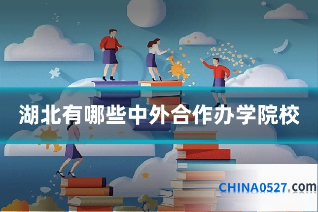 湖北有哪些中外合作办学院校