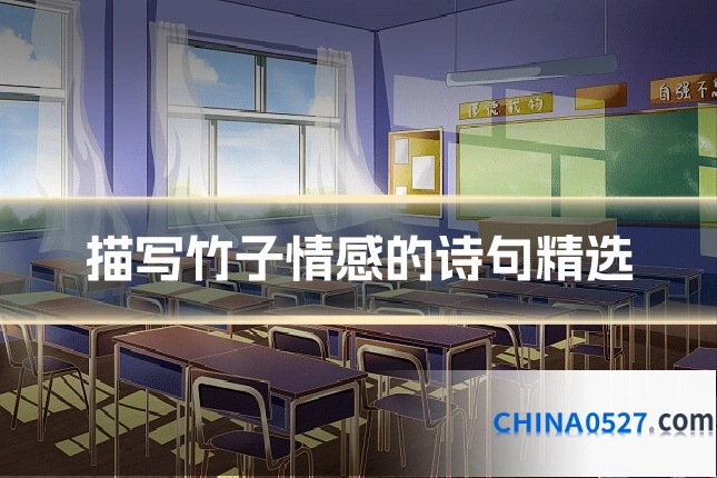 描写竹子情感的诗句精选