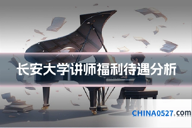 长安大学讲师福利待遇分析