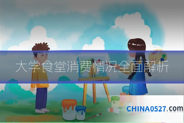 大学食堂消费情况全面解析