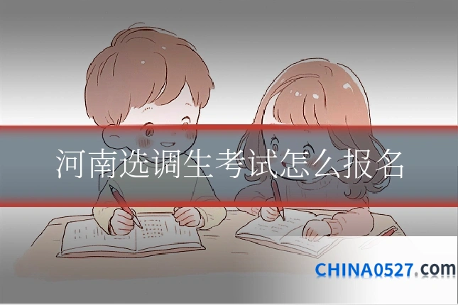 河南选调生考试怎么报名