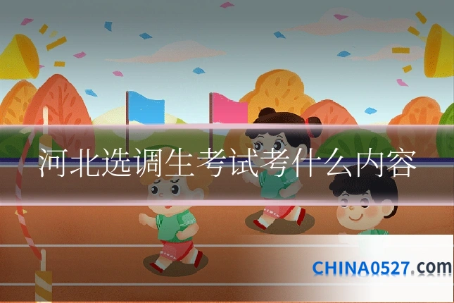 河北选调生考试考什么内容