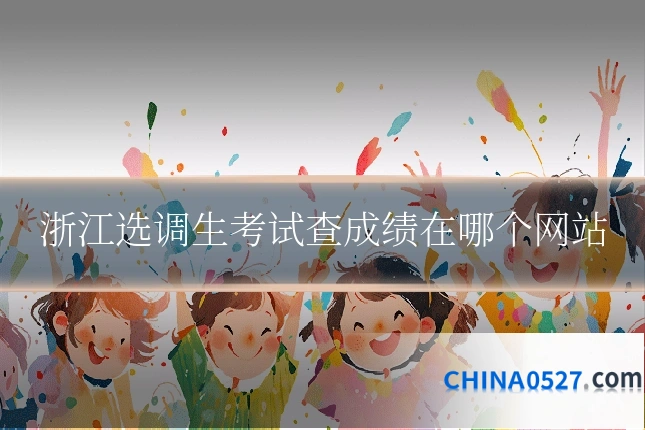 浙江选调生考试查成绩在哪个网站