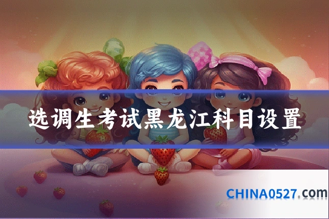 选调生考试黑龙江科目设置