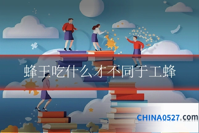 蜂王吃什么才不同于工蜂