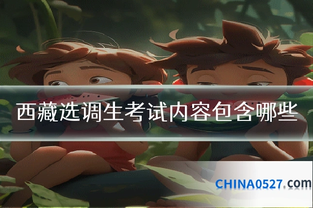 西藏选调生考试内容包含哪些