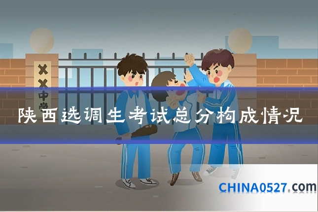 陕西选调生考试总分构成情况