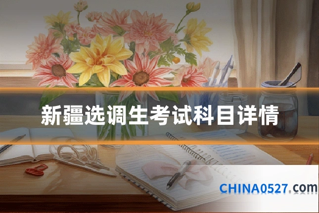 新疆选调生考试科目详情