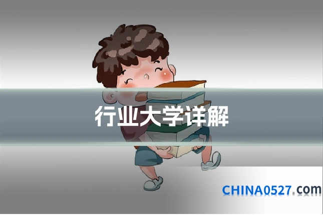 行业大学详解