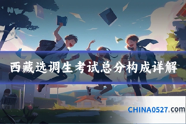 西藏选调生考试总分构成详解