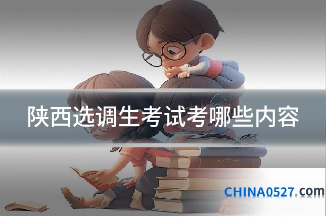 陕西选调生考试考哪些内容