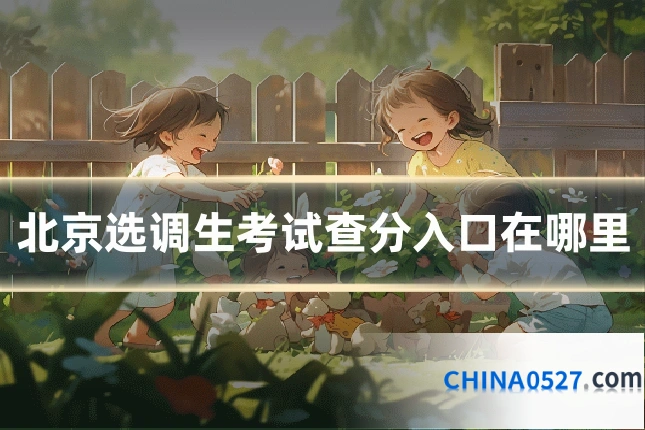 北京选调生考试查分入口在哪里