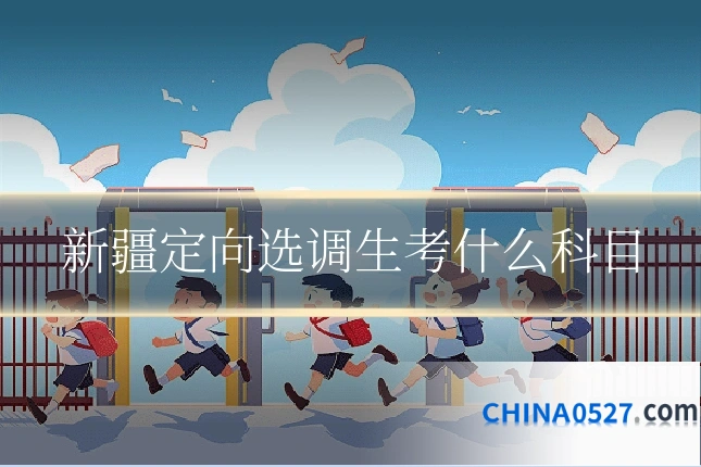 新疆定向选调生考什么科目