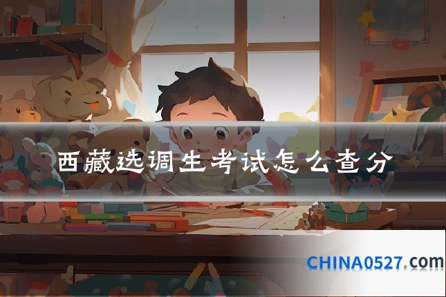 西藏选调生考试怎么查分