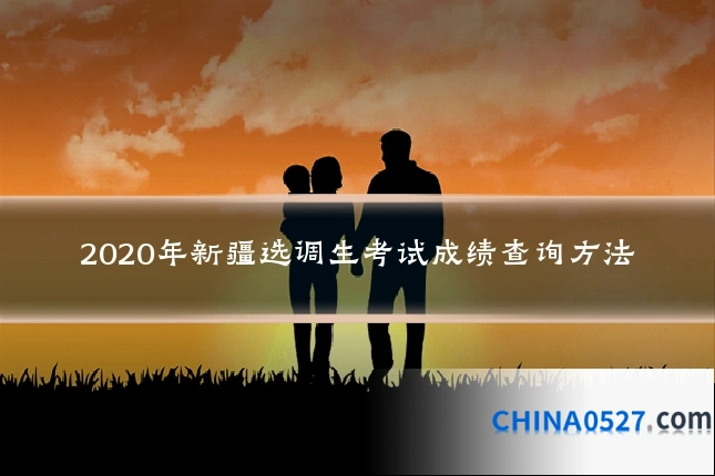 2020年新疆选调生考试成绩查询方法