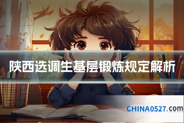 陕西选调生基层锻炼规定解析